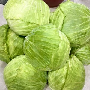 cabbage-ស្ពៃក្តោប