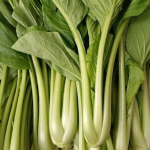 Choy sum-ស្ពៃចង្កិះ